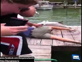 Fish Grabs Man’s Arm Goes Viral new video - Funny Video - Super Hit Songs