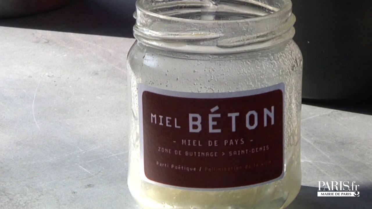 Du miel et des abeilles sur les berges de Seine