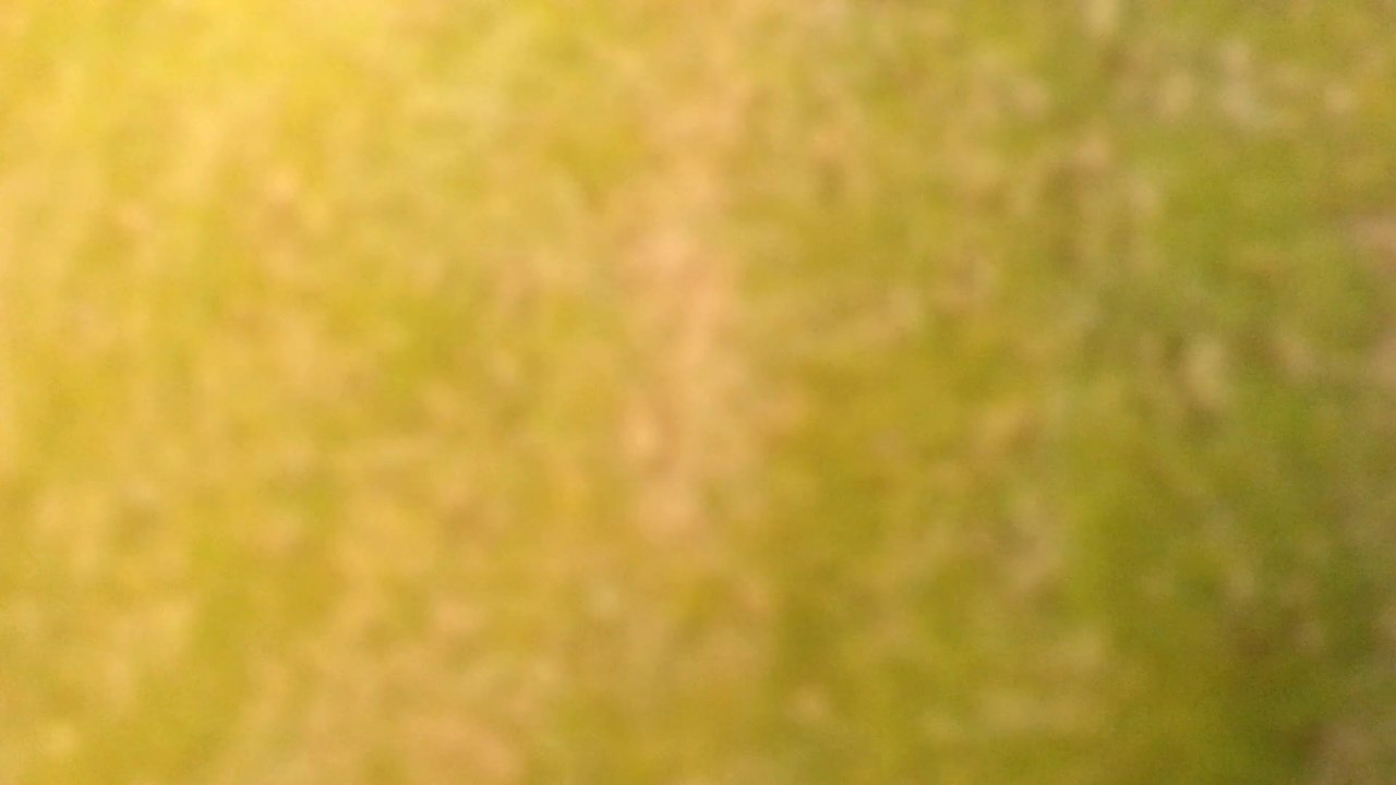 test YT & DM geoblocage 2