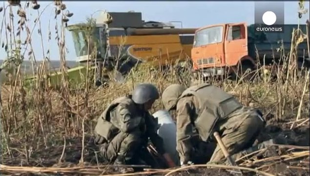 Ucrânia: Exército e separatistas trocam 74 prisioneiros