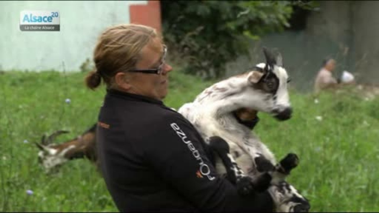 Hebdo DD : Le développement durable en Alsace (10/09/14)