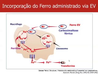 5.4 Tratamento Anemia Com Ferro E.V. (Cont.)