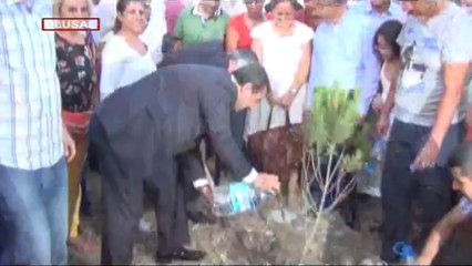 "Ağaçları talan ettirmeyiz"