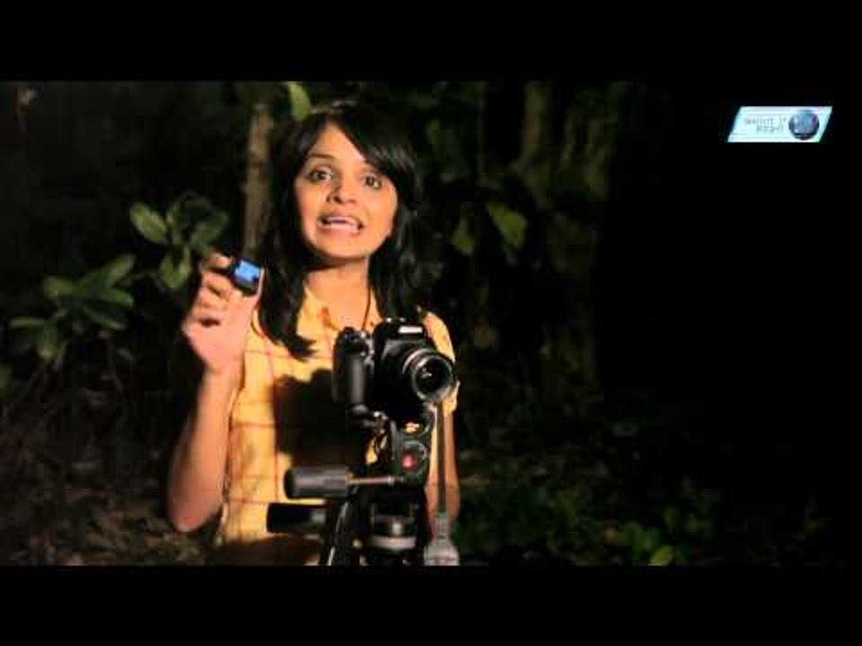 Learn How To Shoot Star Trails || Shraddha Kadakia