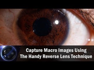 Capture Macro Images Using The Handy Reverse Lens Technique || Shraddha Kadakia
