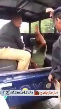 What Kind Of Language Punjab Police Uses Must Watch