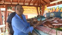 Le marché de Basse-Terre en Guadeloupe - 07/09