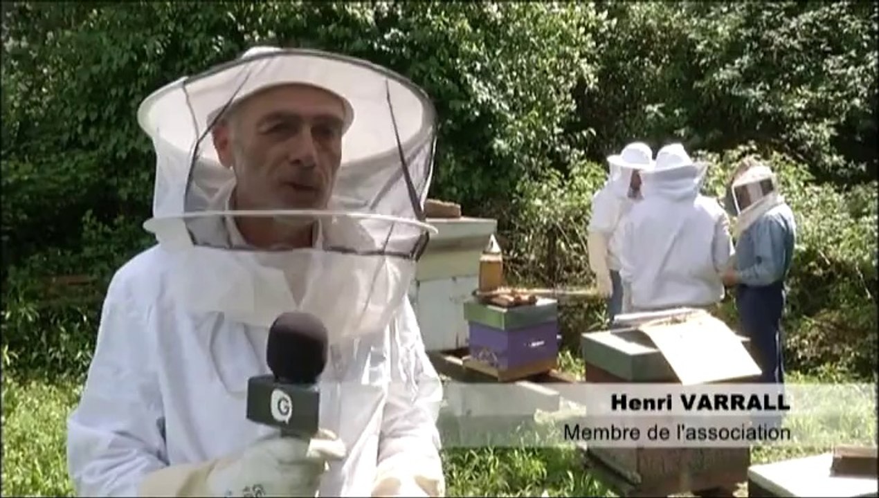 CAP INFO - 11 Septembre 2014