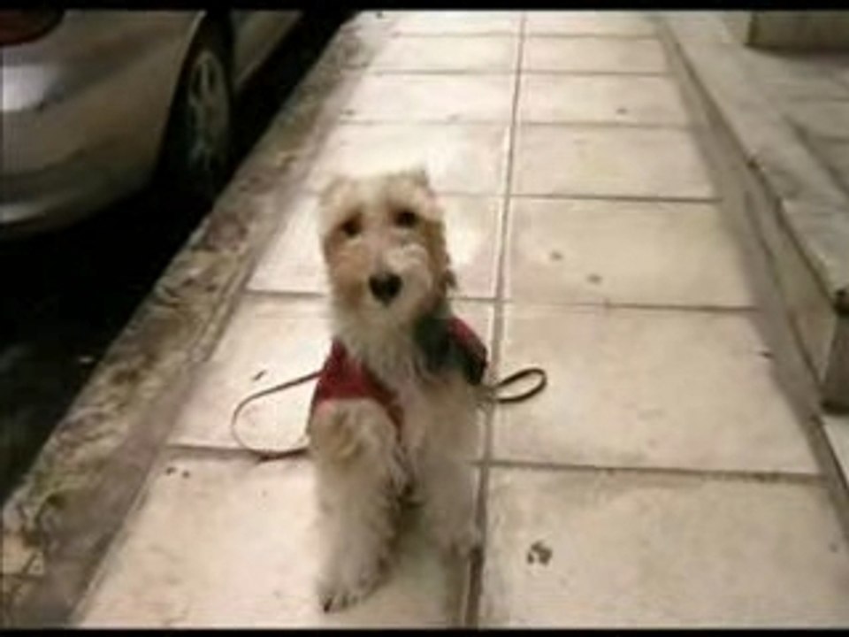 Agapi