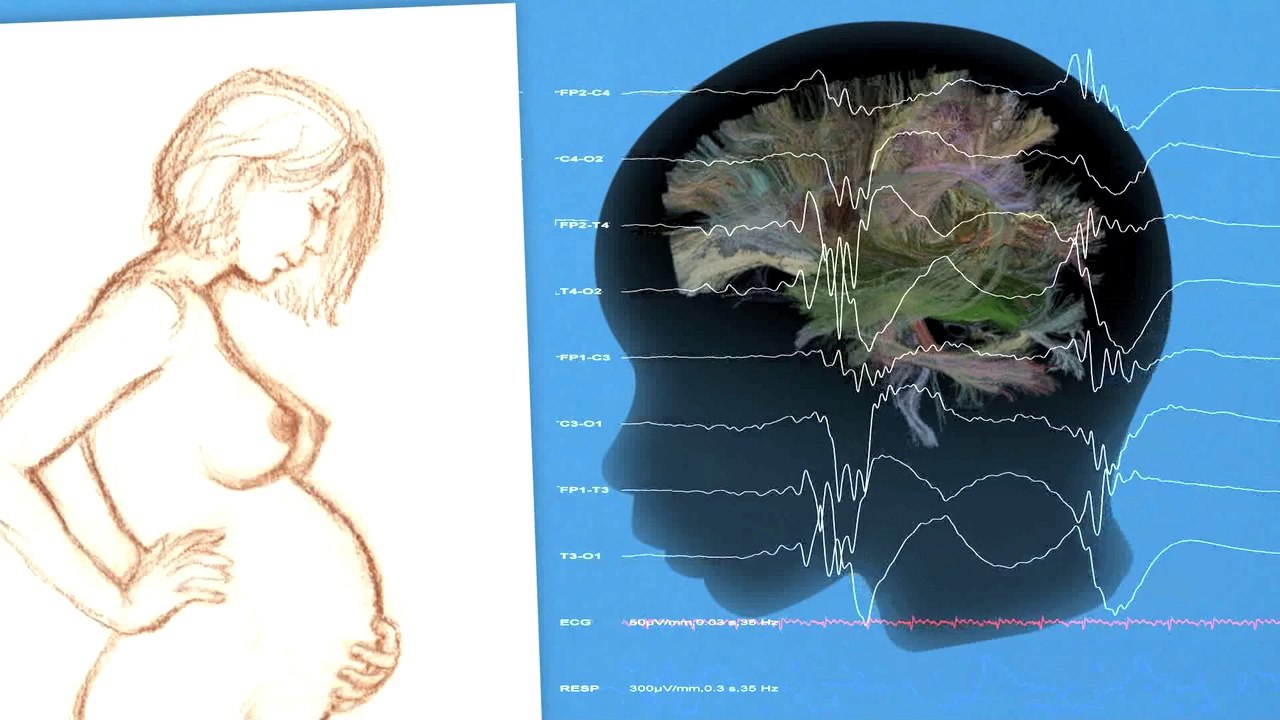 La naissance du cerveau