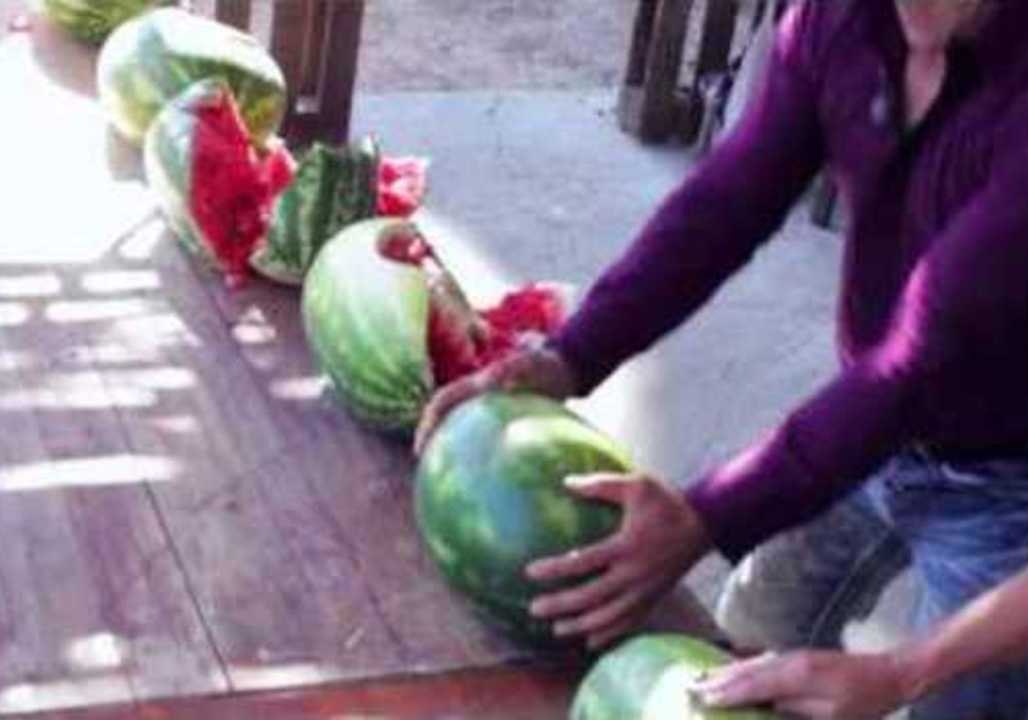 Man Smashes Watermelons With His Head video Dailymotion