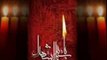 Safeer-e-Hussain Noha by Shadman Raza 2010 - Urdu Video -