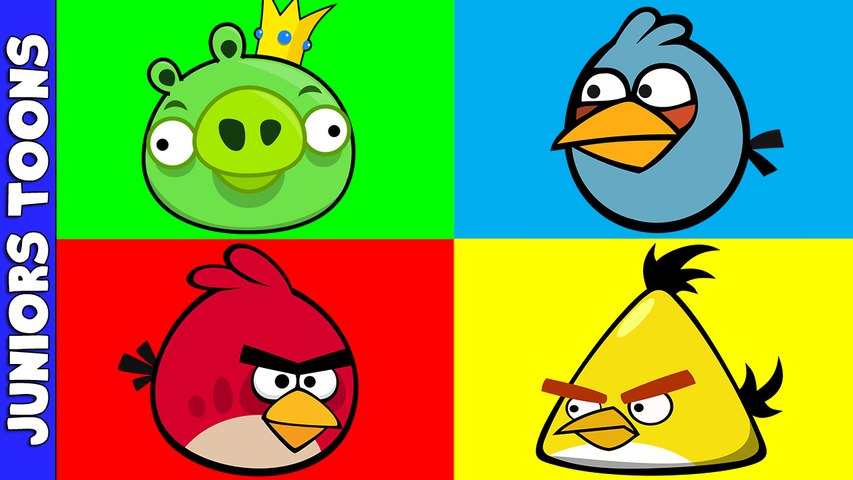 Angry Birds | Learning Colors | Juniors toons