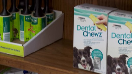 Welcome to Community Pet Outreach