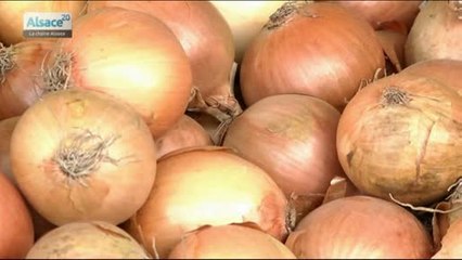 La fête de l'oignon doré à Mulhouse