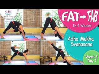 Lose Weight In 4 Weeks || Week 3 - Day 1 || Adho Mukha Svanasana