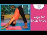 Adho Mukha Svanasana || Downward Facing Dog Pose || Cure Back Pain With Yoga