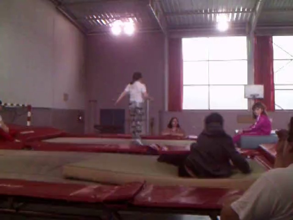 Petits acrobates 2010