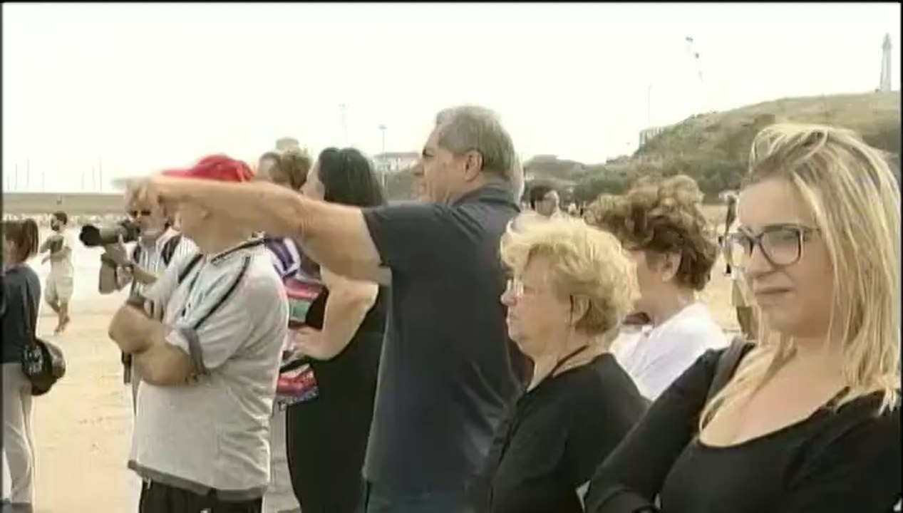 Des cachalots s'échouent sur une plage de la côte est de l'Italie