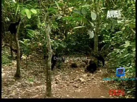 Fooled By Nature 12th September 2014 Video Watch Online Pt1