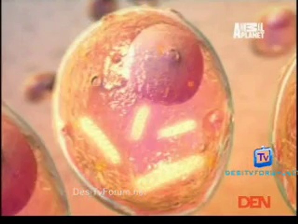 Fooled By Nature 12th September 2014 Video Watch Online Pt4