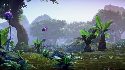 Building Blocks: Introducing the Tropical Environment