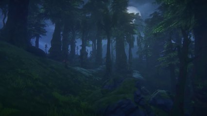 Building Blocks: The Old Growth Forest