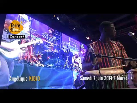 Angélique KIDJO - concert 7 juin 2014 Terre de Blues