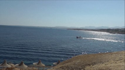 Egypt 2014 - Sharm Resort & Sharm Plaza