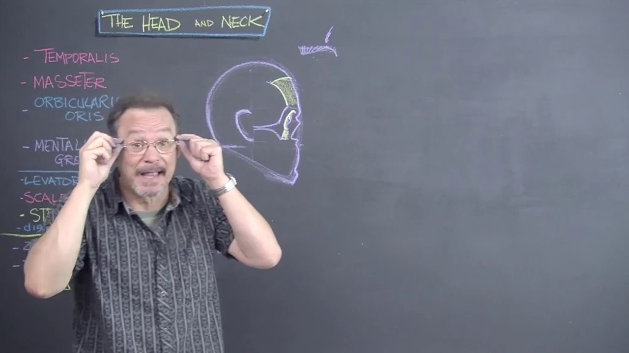 01.Head.1
