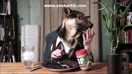 Köpek Gibi Açım Dedikleri Böyle Olsa Gerek