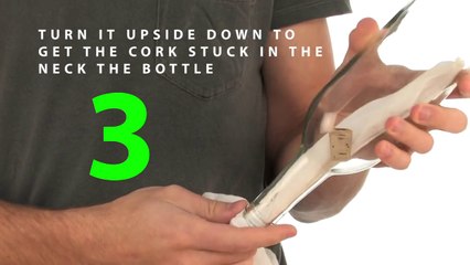 Cork in the Bottle Trick - Sick Science! #015