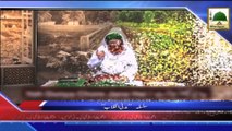 News clip 28 Aug - Nigran-e-Pakistan intzami cabinah ki zindgi main kaisy aya madani inqlab (1)