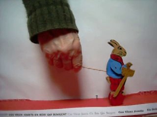 lapin cij cote gauche