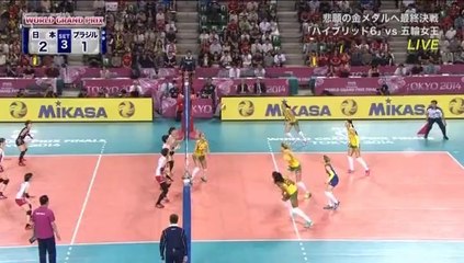 ワールドグランプリ2014 日本×ブラジル2