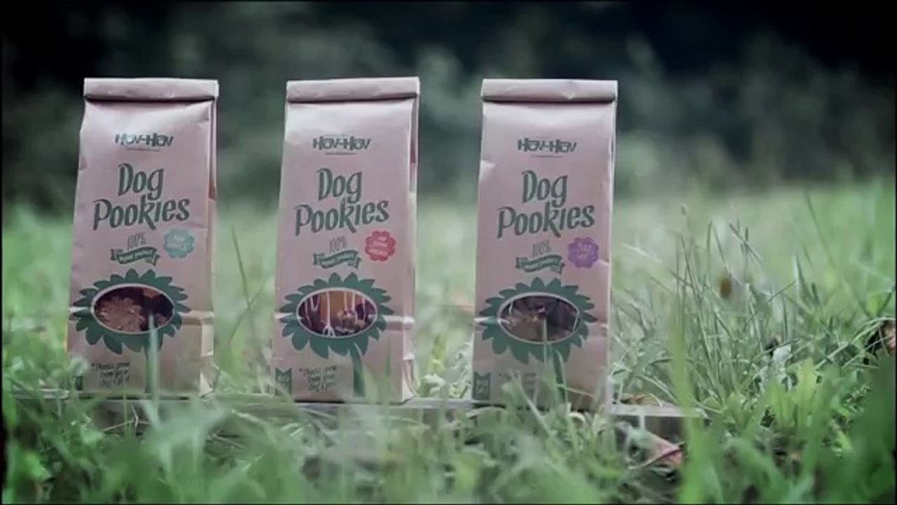 Dog Pookies : comment transformer des crottes de chien en fleurs ?