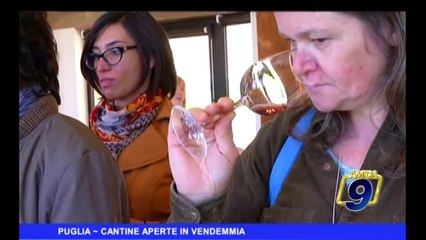 PUGLIA | Cantine aperte in vendemmia