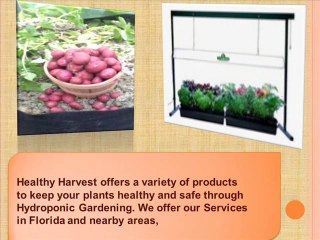 Hydroponic Gardening