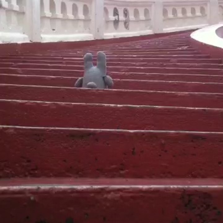 Le zou monte les marchés du wat saket