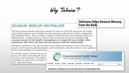 selenium webdriver overview by quontra solutions