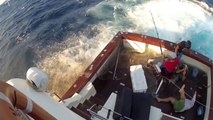 600lb Black Marlin Jumps in Boat and Lands on the Crew!  Captured on 4 different cameras! Very Scary