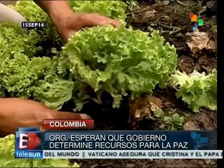 Colombia: sectores preguntan por los recursos que financiarán la paz