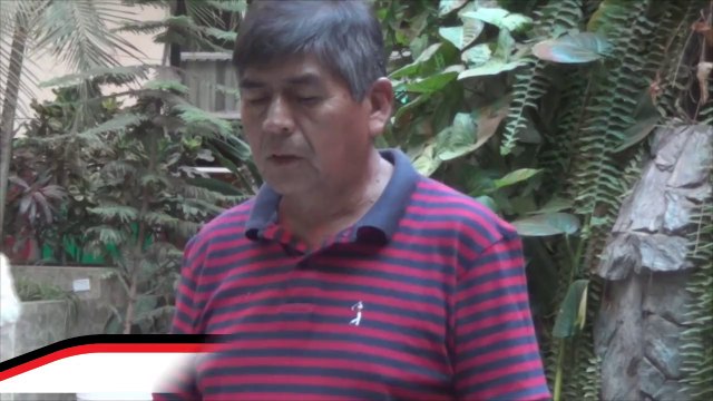 Juegos Deportivos Escolares-Etapa Macro Regional Huanuco 2014