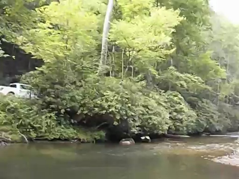 Everyone skipping rocks together