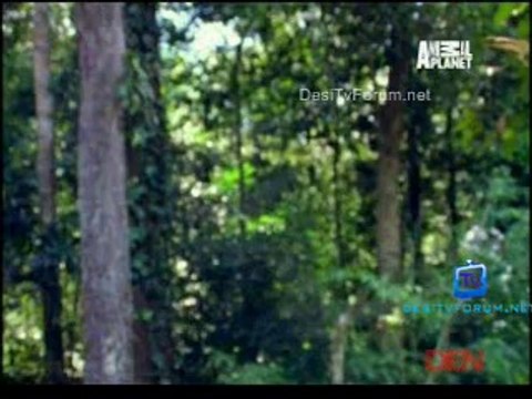 Fooled By Nature 13th September 2014 Video Watch Online pt2