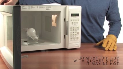 Microwave Light Bulb - Sick Science! #078
