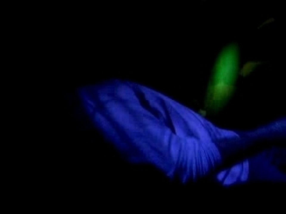 Arnaud sur Call on me