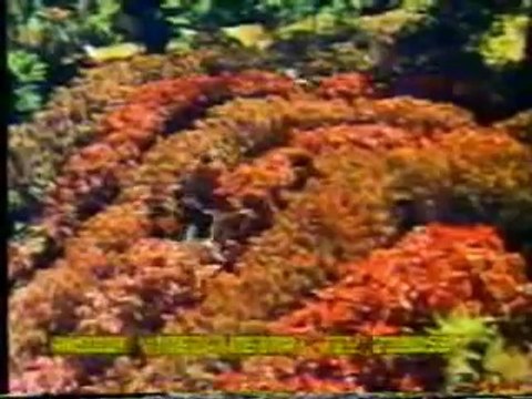 Aise Na Mujhe Tum Dekho {Remix} DJ Suketu Ft.Sukhbir HD