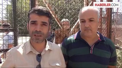 Suriye'ye insani yardım -