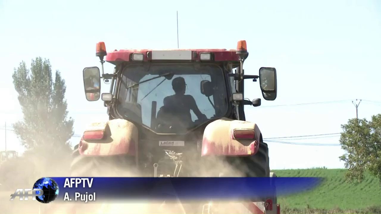 La guerre aux nitrates divise la campagne en Midi-Pyrénées